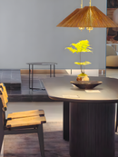 1972 Pendant Lamp