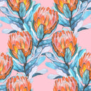 Protea on Pink Wallpaper