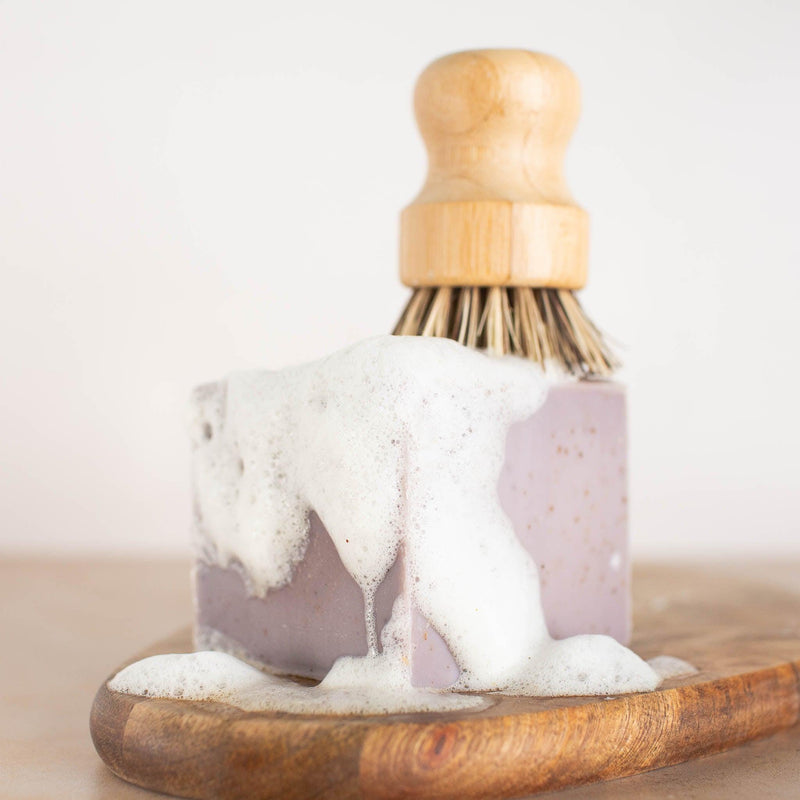 Solid Dish Soap | Lavender