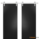 Planum 0010 Black Matte Double Barn Door and Silver Rail