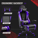 Footrest Series  GT099F
