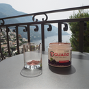 T Guard Urinary Tract Health Supplement | Pack of 3 | 5.3 oz | Shipping Included | Tyrian Health