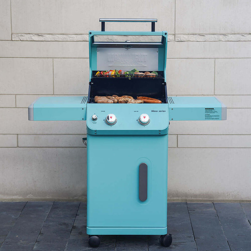 Mesa 200 | Matte Color Propane Gas Grill