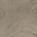 SPC Laminate Flooring Bronx - 0.26" Thickness, Enhenced Bevel - 1.5mm Pad Attached-Super protect - DC Collection plank view