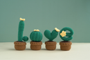 Cactus Amigurumi Crochet Kit by Wizardi F07N8-M18