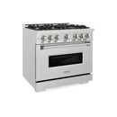 ZLINE 36" Classic Gas Range, Convection Gas Oven DuraSnow® Stainless Steel, CGRS-36