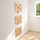Home Climbing Wall