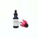 Echinacea Tincture