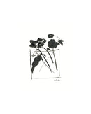 Ink Vase of Flowers