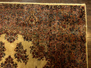 Karastan Kirman Rug