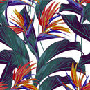 Contemporary Exotic Flowers Wallpaper Fashionable