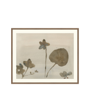 Botanical Thoughts III