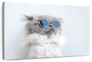 Cool Cat Wall Art