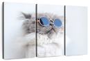 Cool Cat Wall Art
