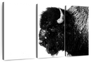 Black Bison Wall Art