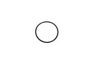 2.5" x 10" Polypropylene O-Rings (Set of 3)