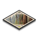 Sequoia National Park Travel Poster Canvas Texture Print, Travel Decor, Midcentury Modern Retro Decor California Landscape