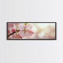 Closeup of a Cherry Blossom, Framed Canvas Print, Cherry Blossom Wall Art, Soothing Wall Art, Meditation Room Decor, Minimalist Art