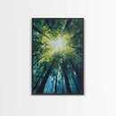 Looking Up, birch tree painting, nature wall art, green wall art, botanical prints, rustic wall art, framed canvas print, zen art
