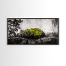Mossy Rock, Abstract Nature, Green and Black Art, Canvas Print, Rustic Wall Decor, Boho Artwork, Modern Farmhouse Decor