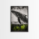 Humpback Whale, Ocean Wall Art, Framed Canvas Print, Black and White Art, Nautical Decor, Beach House Art, Coastal Wall Art