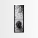 Beach Tumbleweed, Windy Dune, Coastal Drift, Seaside Simplicity, Monochrome Shoreline Framed Canvas Print, Bathroom Beach Wall Decor