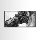 Coastal Texture, Tidepool Abstract, Modern Ocean Nature, Framed Canvas Print, Bathroom Wall Art, Marine Minimalist Photography