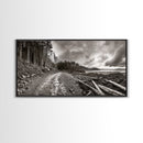 Forest Ocean Trail, Stormy Beach Scene, Driftwood Pathway, Framed Canvas Print, Cabin Entryway or Nature-Inspired Living Room Art
