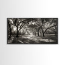 Oak Tree Path, Autumn Forest Glow, Nature Trail Photography, Framed Canvas Print, Hallway Wall Art, Earthy Decor, Woodland Art