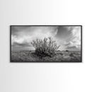 Desert Coral Plant, Dry Earth Botanical, Surreal Nature Texture, Minimal Wild Scene, Canvas Print, Office Wall Art, Earthy Decor