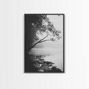 Misty Tree, Shoreline Fog, Forest Edge, Moody Atmosphere, Framed Canvas Print, Bedroom Wall Art, Autumn Woodland Style, Serene Nature Decor