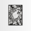 Forest Canopy View, Tree Tops Art, Nature Sky Print, Framed Canvas Print, Bedroom Wall Art, Minimalist Nature, Modern Rustic Decor
