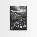 Meadow Bloom, Coastal Flowers, Stormy Sky, Framed Canvas Print, Spring Wall Art, Nature Photography, Kitchen Botanical Decor