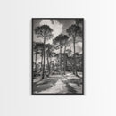 Forest Shadows, Tall Pines, Natural Light, Framed Canvas Print, woodland landscape, rustic cabin decor, autumn forest art