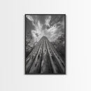 Tall Cactus, Desert Skies, Cactus Wall Art, Framed Canvas Print, Boho Desert Decor, Minimalist Nature Print, Bedroom Southwest Style