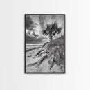 Palm Tree Beach, Coastal Dunes, Dramatic Sky, Framed Canvas Print, Tropical Wall Art, Boho Living Room Decor, Beach House Art