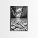 Clear Waterscape, Rocky Shoreline, Tropical Escape, Nature Photography, Framed Canvas Print, Beach House Coastal Wall Art
