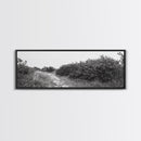 Wild Apple Path, Nature Overgrowth, Autumn Orchard Trail, Canvas Print, Fall Farmhouse Kitchen Art, Rustic Seasonal Wall Decor