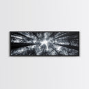 Redwood Trees, Forest Canopy, Looking Upward, Canvas Print, Black and White Nature Art, Meditation Room Decor, Minimalist Wall Art