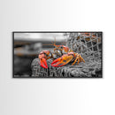 Bold Lobster, Nautical Art, Coastal Living, Red Claw, Framed Canvas Print, Beach House Wall Art, Kitchen Decor, Color Splash Style