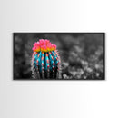Neon Bloom Cactus, Rainbow Succulent, Desert Art, Canvas Print, Colorful Botanical Wall Art, Modern Living Room Decor, Bold Nature