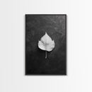Monochrome Leaf, Nature Minimal, Still Life, Moody Art, Framed Canvas Print, Fall Wall Art, Kitchen Decor, Neutral Modern Aesthetic
