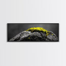 Yellow Moss, Stone Detail, Minimal Nature, Framed Canvas Print, modern zen wall art, earthy bathroom decor, botanical accent