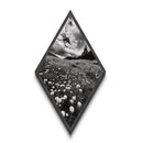 Black White Meadow Diamond Shaped Canvas Art Print, Monochrome Nature Photography, Wildflower Landscape Rustic Wall Decor