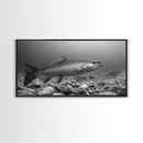 Trout, Fly Fishing Art, Rustic Decor, Coastal Wall Art, Lake Tahoe Art, Fishing Art, Nautical Painting, Framed Canvas Print