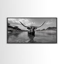 Longhorn in Water, rustic art, western decor, bull and bear art, cowboy wall art, farmhouse art, panoramic art, Framed Canvas Print
