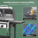 2-Burner Stainless Steel Propane Grill, 16,000 BTU Portable Gas BBQ with Electronic Ignition