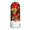 2 In 1 Rose Flowers in Creative LED Glass Lamp with Bluetooth for Home Decor