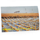 Sandhill Cranes Postcard | Nebraska Is ... Sandhill Cranes | 2 The Ends of the Earth