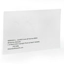 Sandhill Crane Postcard | Crane Formation | 4in x 6in | 2 The Ends of the Earth